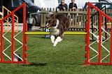 AGILITY - SAUT 040